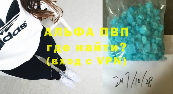 спиды Богданович
