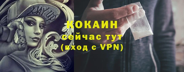 спиды Богданович
