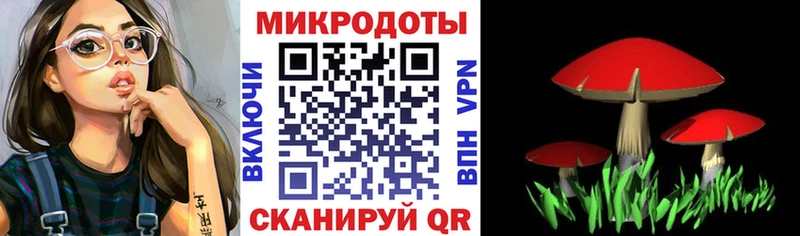 где найти наркотики  Ковров  Псилоцибиновые грибы Cubensis 